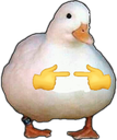 3425-duck